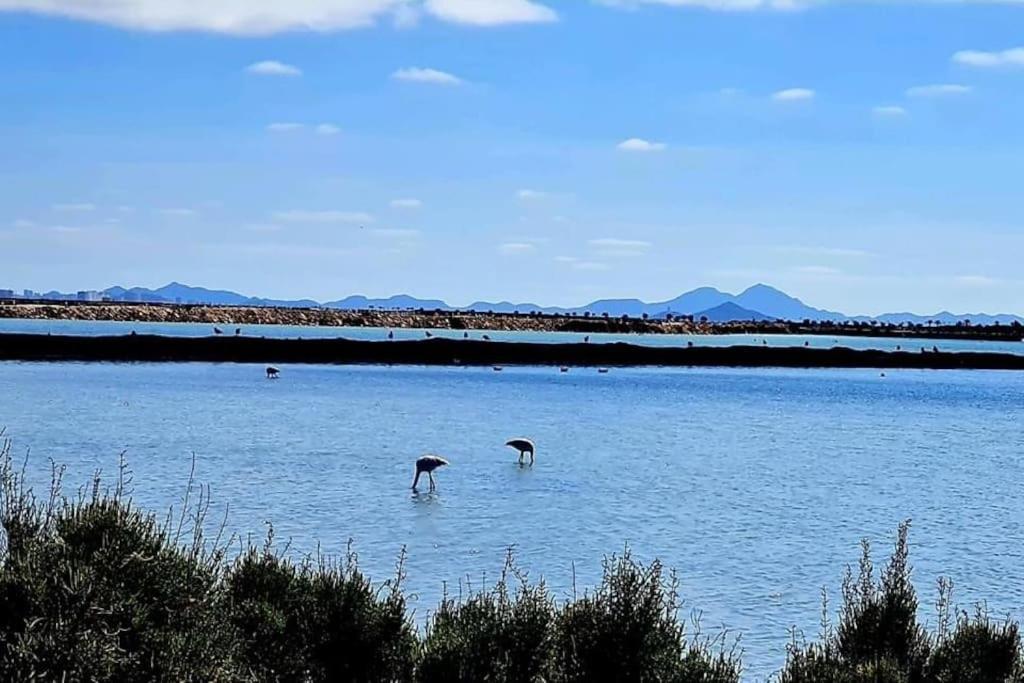 Agreable Appartement Avec Piscine Commune San Pedro del Pinatar Kültér fotó